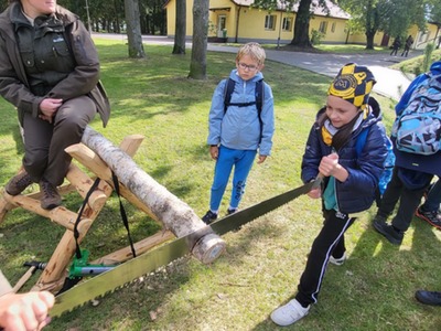 Nadleśnictwo i Maja