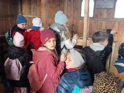Wycieczka do hodowli zwierząt „Alpaki Wśród Sadów”