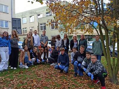 Wolontariusze z naszej szkoły posadzili wczoraj cebulki krokusów
