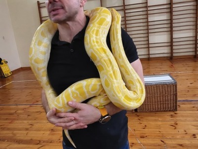 pokaz węży