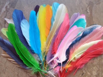 Feathers