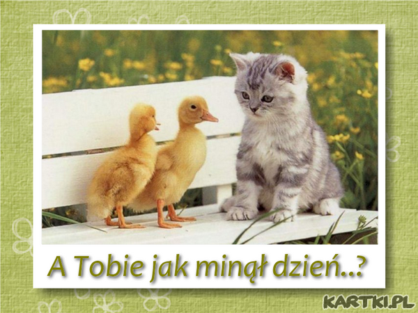 Jak ci minął dzień?