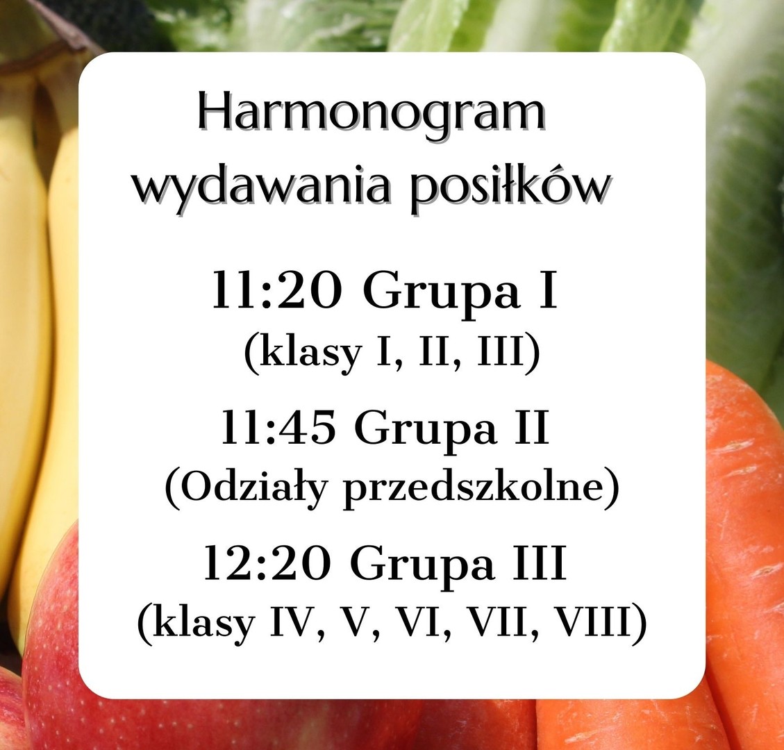 Harmonogram wydawania posiłków [1587x1518]