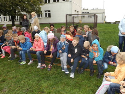 ziemniak16