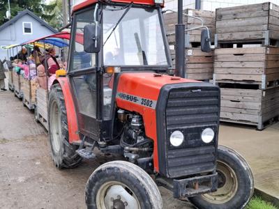 Traktor z drewnianymi przyczepkami, w których siedzą dzieci.