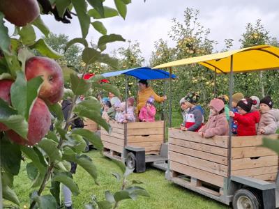 Dzieci w kolorowych kurtkach jadą drewnianą przyczepą z daszkiem przez sad.
