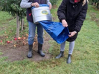 Sadownicy opowiadający o swoim zawodzie.