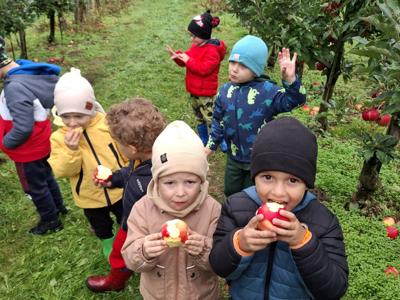 Dzieci podczas zrywania i degustowania jabłek w sadzie.