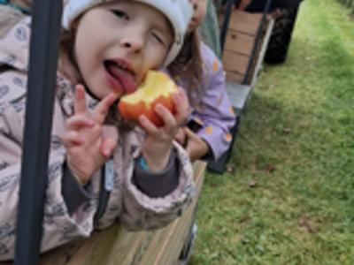 Dzieci podczas zrywania i degustowania jabłek w sadzie.