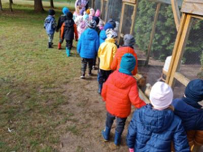 Przedszkolaki podczas oglądania kur.