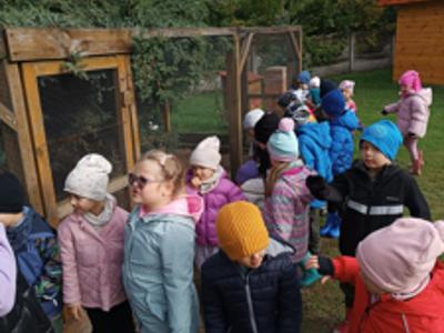 Przedszkolaki podczas oglądania kur.