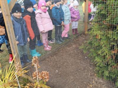 Przedszkolaki podczas oglądania kur.