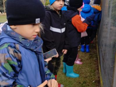 Przedszkolaki podczas oglądania kur.