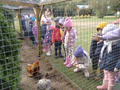 Przedszkolaki podczas oglądania kur.