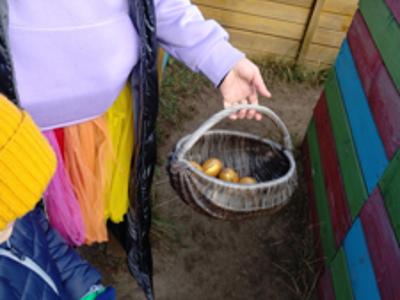 Koszyk złotych jajek na tle kolorowego labiryntu.