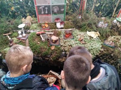 Dzieci oglądające eksponaty.