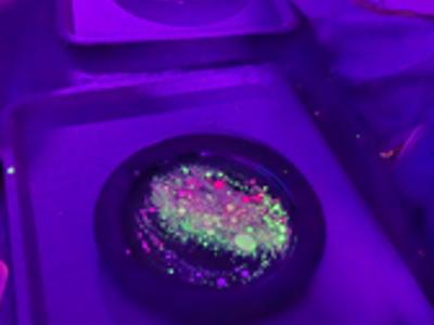 Malowanie fluorescencyjne.