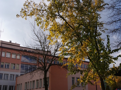 Budynek Przychodni