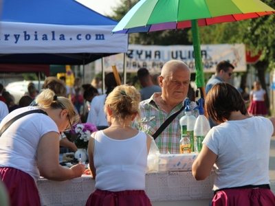 Żywa Ulica
