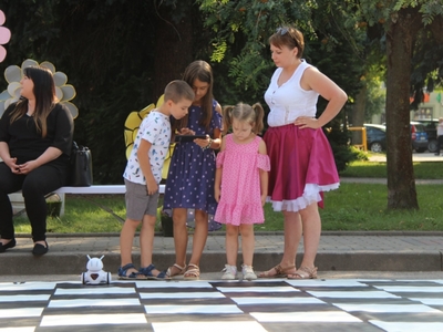 Żywa Ulica