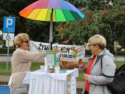 ŻYWA ULICA