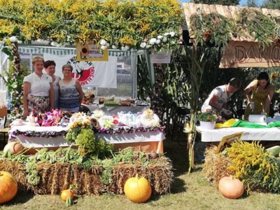 DOŻYNKI GMINNE 2019