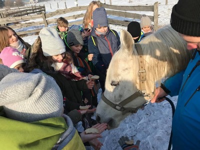 Ferie zimowe 2019