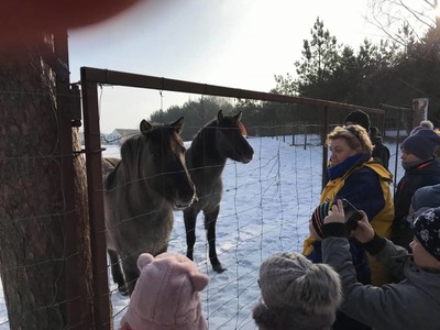 Ferie zimowe 2019