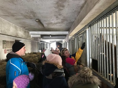 Ferie zimowe 2019