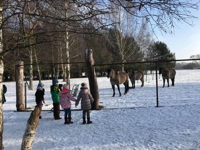 Ferie zimowe 2019