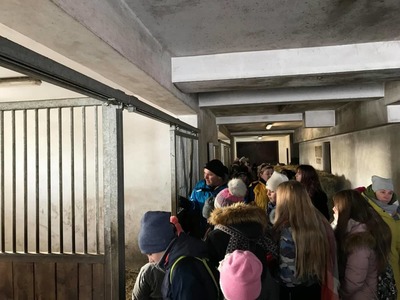 Ferie zimowe 2019