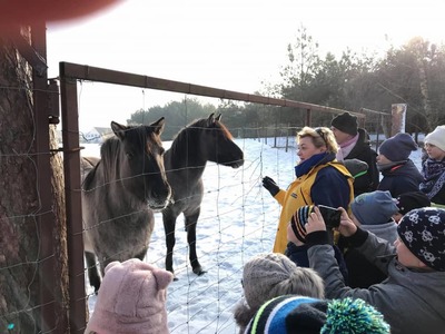 Ferie zimowe 2019