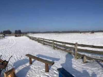 Ferie zimowe 2019