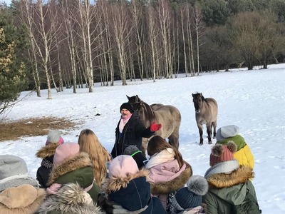 Ferie zimowe 2019