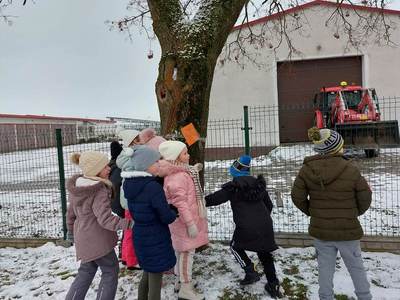 Ferie zimowe 2023