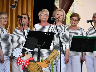 Przegląd Seniorskiej Twórczości Artystycznej  występy zespołów na scenie
