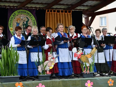 Przegląd Seniorskiej Twórczości Artystycznej  występy zespołów na scenie