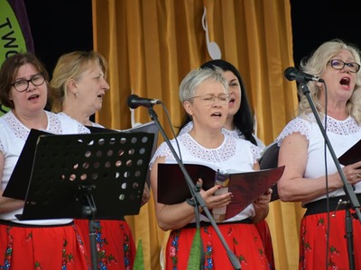 Przegląd Seniorskiej Twórczości Artystycznej  występy zespołów na scenie