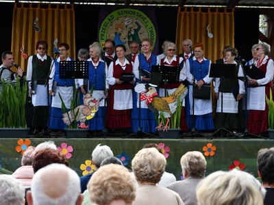 Przegląd Seniorskiej Twórczości Artystycznej  występy zespołów na scenie