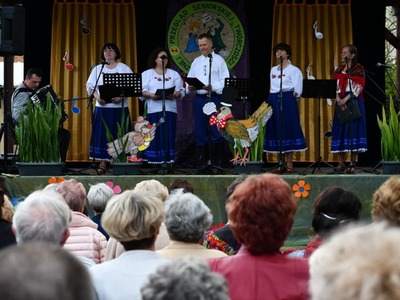 Przegląd Seniorskiej Twórczości Artystycznej  występy zespołów na scenie