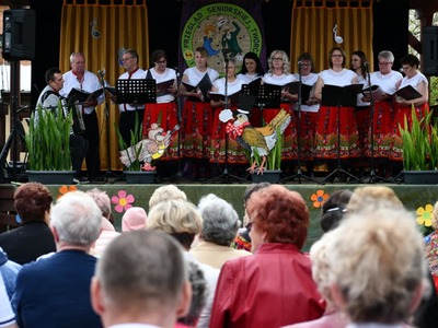 Przegląd Seniorskiej Twórczości Artystycznej  występy zespołów na scenie