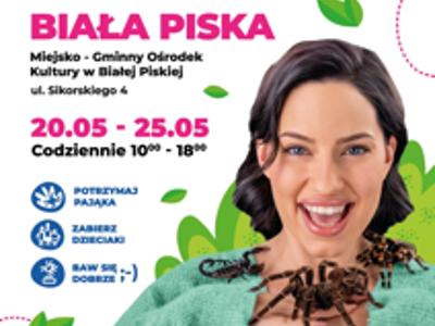 Zapraszamy na wystawę pająków