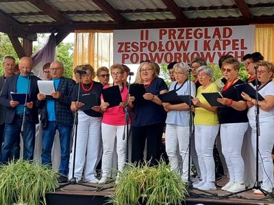 Przegląd zespołów i kapel podwórkowych
