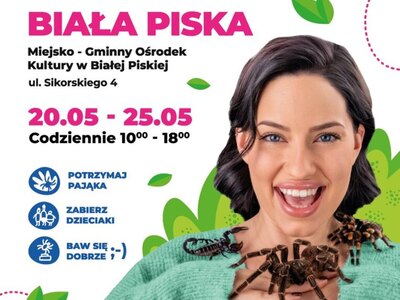 Wystawa pająków