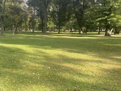 Park Miejski1