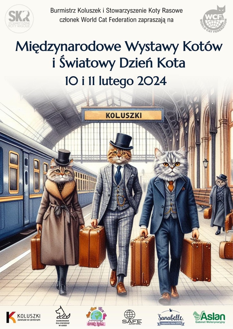 Dzień kota 2024