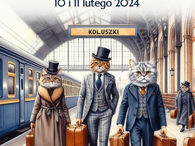 Dzień kota 2024