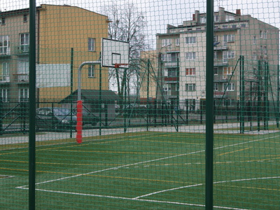 osir koluszki - skrzydlik