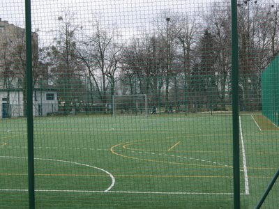 osir koluszki - skrzydlik