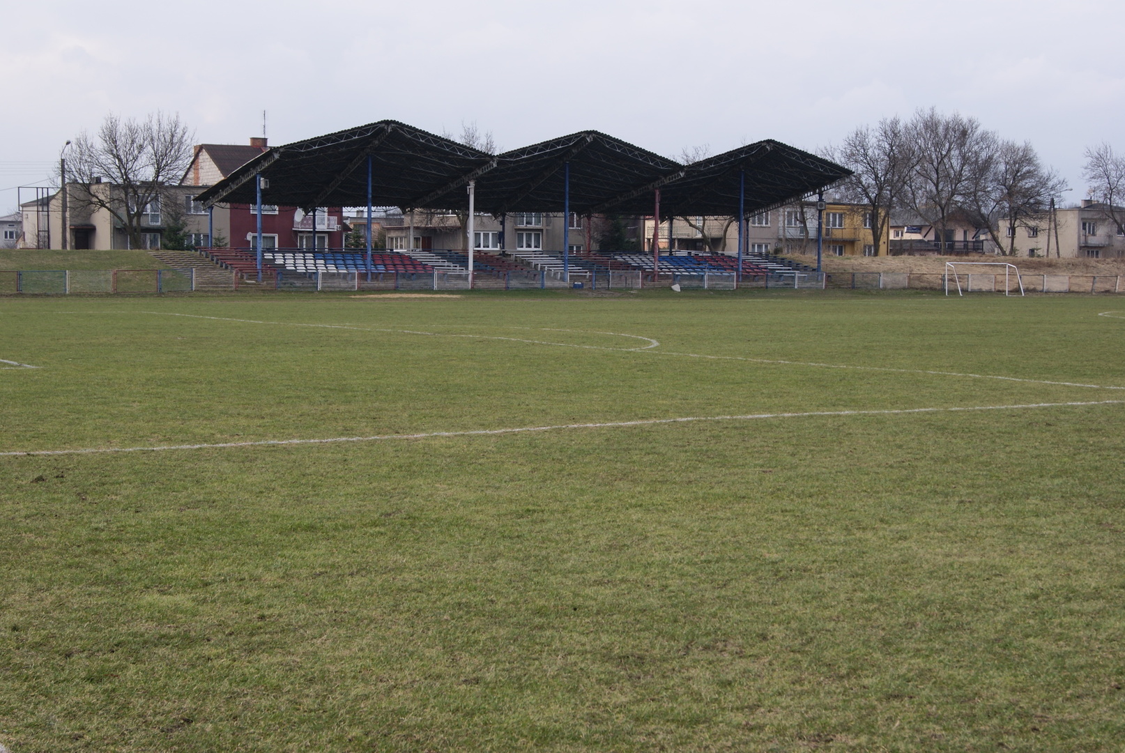 osir koluszki - zagajnikowa